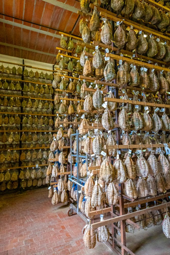 Culatello Aging Room Parma Italy