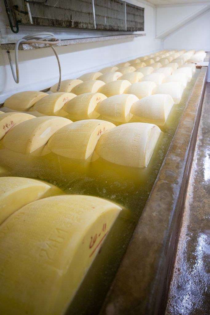 Parmesan Cheese Making Process Parma Italy
